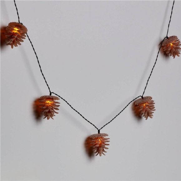 WONDERSHOP NWT 10ct led battery operated sugared pinecone Xmas string lights - Picture 1 of 9